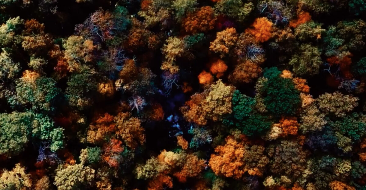 JC & The Judas, leur clip “Sweet Jenny Brown” sur Longueur d'Ondes