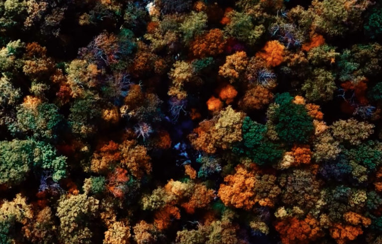 JC & The Judas, leur clip “Sweet Jenny Brown” sur Longueur d'Ondes