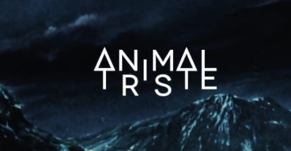 Animal Triste, leur clip “Wild at heart” sur Longueur d'Ondes