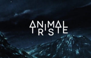Animal Triste, leur clip “Wild at heart” sur Longueur d'Ondes