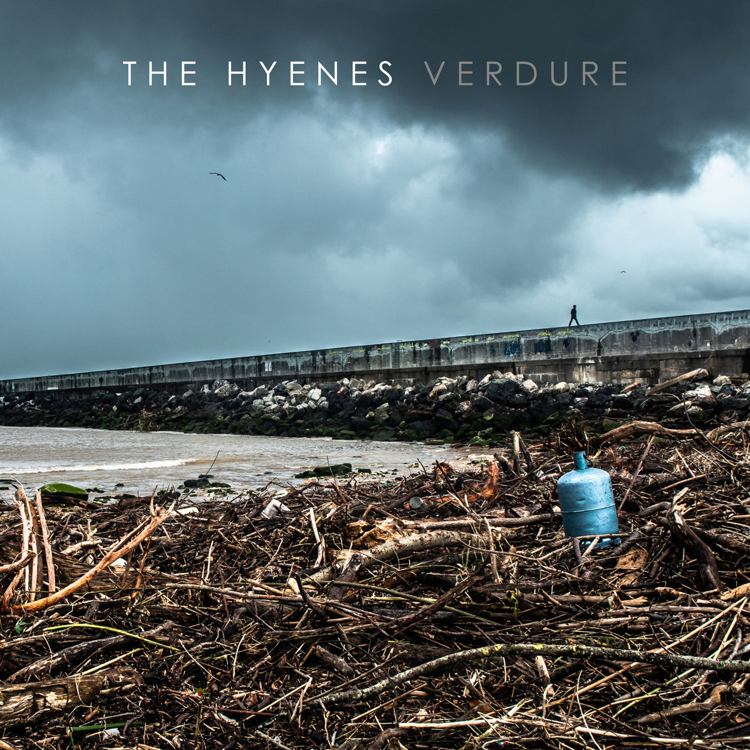 VERDURE