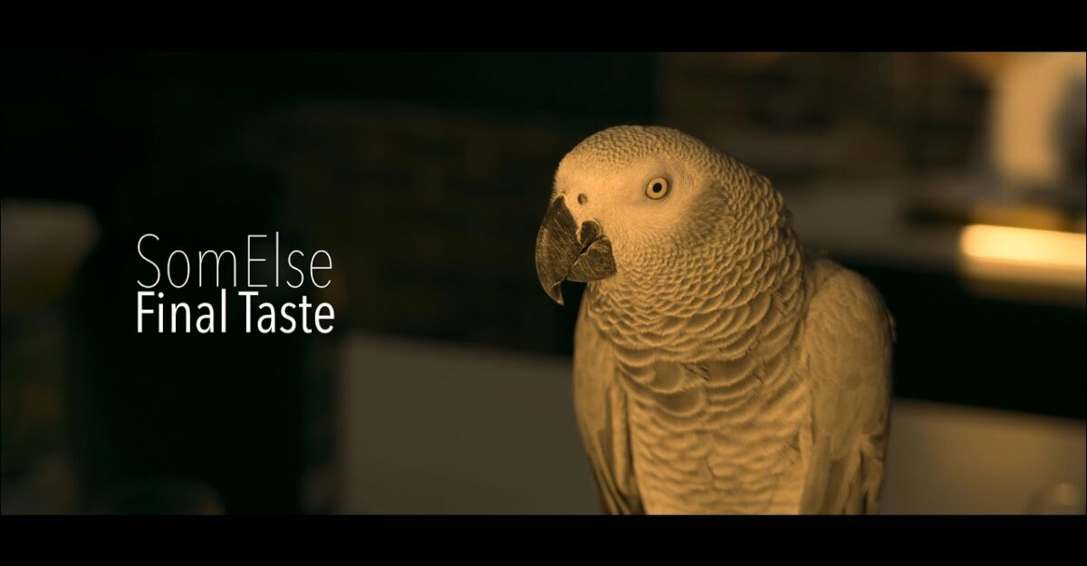 SomElse, son clip “Final taste” sur Longueur d’Ondes