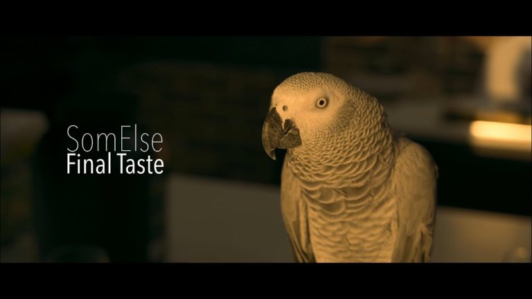 SomElse, son clip “Final taste” sur Longueur d’Ondes