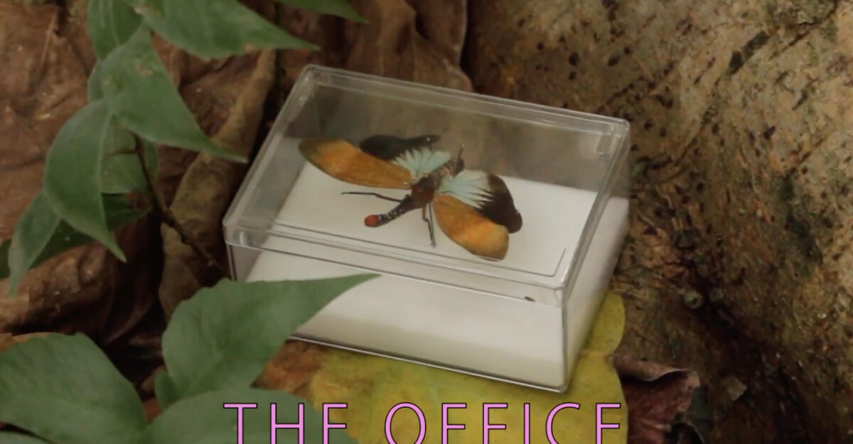 Seppuku, leur clip “The office” en EXCLU sur Longueur d'Ondes