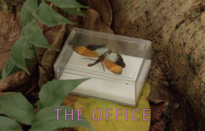 Seppuku, leur clip “The office” en EXCLU sur Longueur d'Ondes