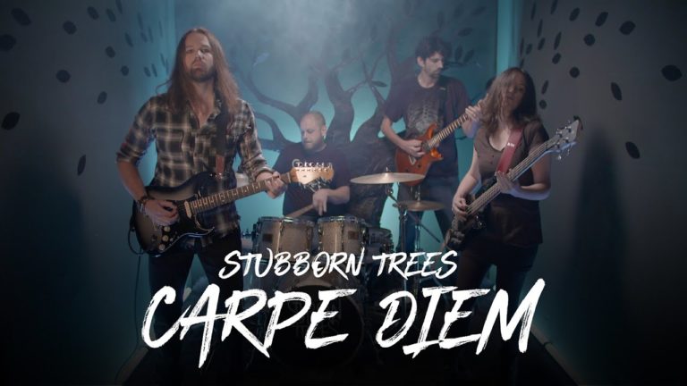 Stubborn Trees, leur clip “Carpe Diem” sur Longueur d’Ondes