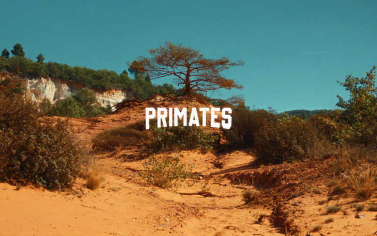 primates